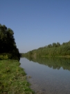 immagine fiume Piave